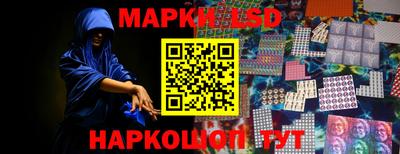 прущие грибы Можайск