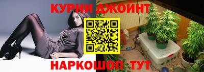 прущие грибы Можайск