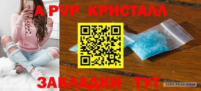 прущие грибы Можайск