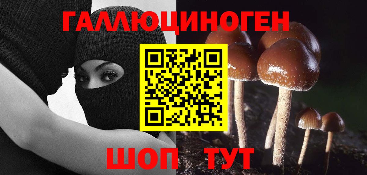 Псилоцибиновые грибы Cubensis  Вход с VPN  Галлюциногенные грибы Cubensis  Топки 